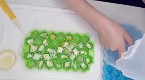 Stock Ice Tray with Lid 37 Cell Honeycomb Shape Silicone Ice Cube Molder