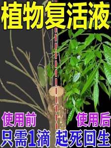 大树复活黄叶助剂蔬菜营养液生根植物果树叶面肥死苗烂根肥料