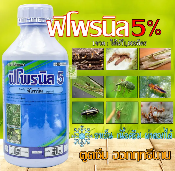 ฟิโพรนิล แอสเซนด์ 1 ลิตร กำจัดปลวกและแมลง