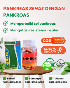 Pankroas Kecil 90 Kapsul Best Seller | Obat Herbal penurun gula darah