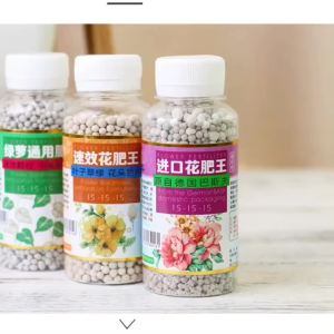 LZD  In Stock Imported Plant Granular Fertilizer Green Radish Succulent Organic Compound Fertilizers Melon and Fruit Fertilizer Universal Flower Green Plant Fertilizer