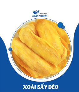 Xoài sấy dẻo không đường 100g và tổng hợp các loại hoa quả sấy thượng hạng - Thảo Dược Hạnh Nguyên