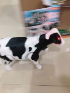 Mainan Sapi berjalan dan suara / Mainan Edukasi Anak Sapi berjalan dan suara