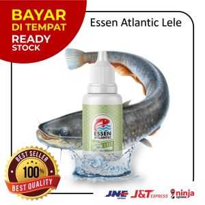Essen Galatama Lele Atlantic Umpan Pancing 30ml (Promo Beli 2 Gratis 1)