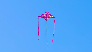 Owl Kites For Kids Outdoor Activities Colorful Bright Color Design High Wind Resistance Fiberglass Frame Easy Assembly