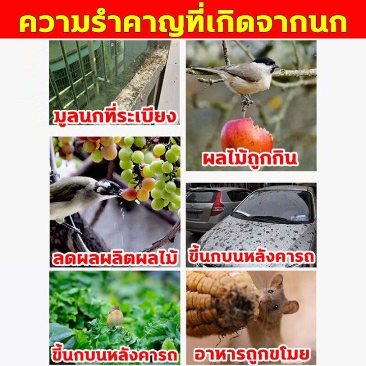 %E0%B8%A2%E0%B8%B2%E0%B9%80%E0%B8%9A%E0%B8%B7%E0%B9%88%E0%B8%AD%E0%B8%99%E0%B8%81%E0%B8%9E%E0%B8%B4%E0%B8%A3%E0%B8%B2%E0%B8%9A%E0%B8%81%E0%B8%B3%E0%B8%88%E0%B8%B1%E0%B8%94%E0%B8%9E%E0%B8%B4%E0%B8%A3%E0%B8%B2%E0%B8%9A%E0%B9%81%E0%B8%A5%E0%B8%B0%E0%B8%99%E0%B8%81%E0%B8%97%E0%B8%B8%E0%B8%81%E0%B8%8A%E0%B8%99%E0%B8%B4%E0%B8%94%20%E0%B9%80%E0%B8%AB%E0%B8%A2%E0%B8%B7%E0%B9%88%E0%B8%AD%E0%B8%81%E0%B8%B3%E0%B8%88%E0%B8%B1%E0%B8%94%E0%B8%99%E0%B8%81%E0%B8%9E%E0%B8%B4%E0%B8%A3%E0%B8%B2%E0%B8%9A%20%E0%B8%A2%E0%B8%B2%E0%B8%86%E0%B9%88%E0%B8%B2%E0%B8%99%E0%B8%81%E0%B8%9E%E0%B8%B4%E0%B8%A3%E0%B8%B2%E0%B8%9A500g%20%E0%B8%97%E0%B8%B3%E0%B8%A5%E0%B8%B2%E0%B8%A2%E0%B8%AD%E0%B8%A7%E0%B8%B1%E0%B8%A2%E0%B8%A7%E0%B8%B0%E0%B8%A0%E0%B8%B2%E0%B8%A2%E0%B9%83%E0%B8%99%E0%B8%95%E0%B8%B2%E0%B8%A2%E0%B9%83%E0%B8%99%201%E0%B8%8A%E0%B8%A1.%20%E0%B8%A2%E0%B8%B2%E0%B9%80%E0%B8%9A%E0%B8%B7%E0%B9%88%E0%B8%AD%E0%B8%99%E0%B8%81%20%E0%B8%9E%E0%B8%B4%E0%B8%A3%E0%B8%B2%E0%B8%9A%20%E0%B9%81%E0%B8%AB%E0%B9%89%E0%B8%87%E0%B9%80%E0%B8%A3%E0%B9%87%E0%B8%A7%E0%B9%81%E0%B8%A5%E0%B8%B0%E0%B9%84%E0%B8%A1%E0%B9%88%E0%B8%A1%E0%B8%B5%E0%B8%81%E0%B8%A5%E0%B8%B4%E0%B9%88%E0%B8%99%20%E0%B8%81%E0%B8%B4%E0%B8%99%E0%B8%87%E0%B9%88%E0%B8%B2%E0%B8%A2%E0%B8%95%E0%B8%B2%E0%B8%A2%E0%B9%84%E0%B8%A7%20%E0%B8%8A%E0%B8%99%E0%B8%B4%E0%B8%94%E0%B9%84%E0%B8%A1%E0%B9%88%E0%B8%95%E0%B9%89%E0%B8%AD%E0%B8%87%E0%B8%9C%E0%B8%AA%E0%B8%A1%E0%B8%AD%E0%B8%B2%E0%B8%AB%E0%B8%B2%E0%B8%A3%20%E0%B8%A2%E0%B8%B2%E0%B9%80%E0%B8%9A%E0%B8%B7%E0%B9%88%E0%B8%AD%E0%B8%99%E0%B8%81%20%E0%B9%80%E0%B8%AB%E0%B9%87%E0%B8%99%E0%B8%9C%E0%B8%A5%E0%B8%8A%E0%B8%B1%E0%B8%A7%E0%B8%A3%E0%B9%8C%20100%25%20%E0%B9%84%E0%B8%A1%E0%B9%88%E0%B8%A1%E0%B8%B5%E0%B8%99%E0%B8%81%E0%B8%A3%E0%B8%9A%E0%B8%81%E0%B8%A7%E0%B8%99%20%E0%B9%84%E0%B8%A5%E0%B9%88%E0%B8%99%E0%B8%81%E0%B8%9E%E0%B8%B4%E0%B8%A3%E0%B8%B2%E0%B8%9A%E0%B8%96%E0%B8%B2%E0%B8%A7%E0%B8%A3%20%E0%B8%A2%E0%B8%B2%E0%B9%84%E0%B8%A5%E0%B9%88%E0%B8%99%E0%B8%81%E0%B8%9E%E0%B8%B4%E0%B8%A3%E0%B8%B2%E0%B8%9A%20-%20Image%206