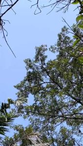 LATAYA MAXY / LATAYA NEW COLOURS BY RATU MULABEES / GAMIS TERBARU / GAMIS ORI / GAMIS ADEM / GAMIS BUSUI / GAMIS CRINGCLE AIRFLOW