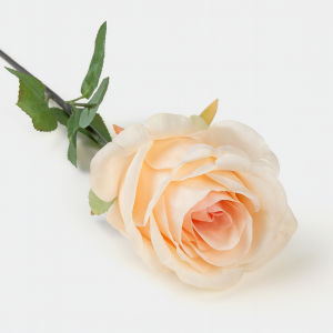 ดอกกุหลาบ ดอกไม้ตกแต่ง มีให้เลือกหลายสี ดอกไม้ตกแต่งบ้าน ดอกไม้ปลอมจัดซุ้ม ของประดับงานอีเว้นท์ สําหรับตกแต่งบ้าน ปาร์ตี้ สำหรับจัดแจกัน สีสวย