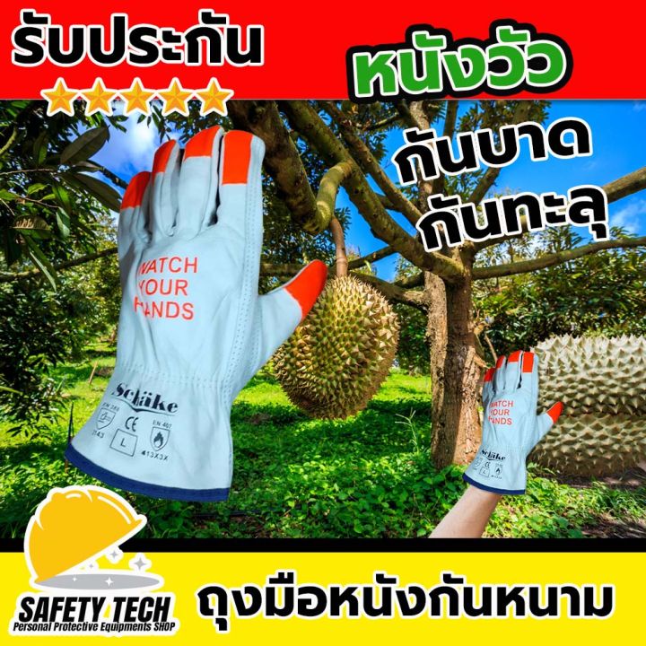 6 อันดับ ถุงมือกันหนาม ยี่ห้อไหนดี? ปลอดภัยทุกงานสวน อัปเดตปี 2025