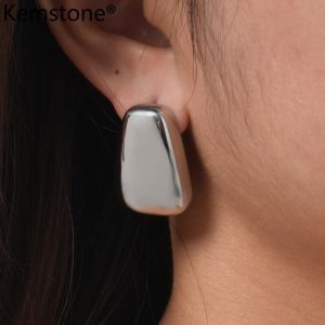 Kemstone Geometric Stainless Steel Earrings - Womens Simple Daily Wear