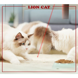Laser Light Cat Collar Cat Toy Cat Play Laser Toy Pet Toy Laser Teaser
