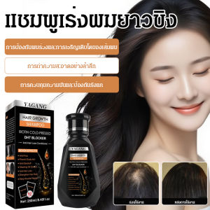 แชมพูขิงสำหรับผู้ใหญ่ตลอดทั้งปี สำหรับทุกคนทุกวัย ปรับปรุงคุณภาพเส้นผม ควบคุมความมันและขจัดรังแค บำรุงหนังศีรษะ