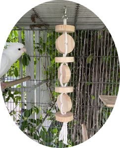 ของเล่นนก สำหรับสัตว์เล็ก อุปกรณ์ตกแต่งกรงสัตว์เลี้ยง ของเล่นนกไม้กลมร้อยเชือก7ชั้น ใช้เกาะ ใช้ปีนป่าย