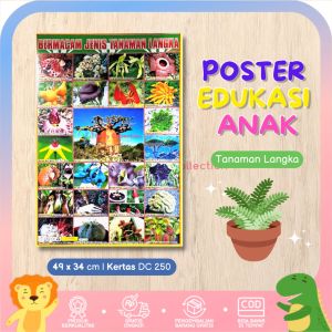 Poster Dinding Edukasi Anak Belajar Gambar Pengetahuan Umum Angka ABC Buah Sayur Tubuh Hewan Warna