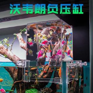 Wowelang Negative Pressure Fish Tank Ecological Pot Landscaping Decoration Full Set Small Fish Tank Living Room Desktop Betta Tank Wanzhan Star