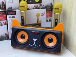 READY STOCK SDRD SD305 Wireless Bluetooth Dual Microphone Karaoke Portable Speaker Home Karaoke