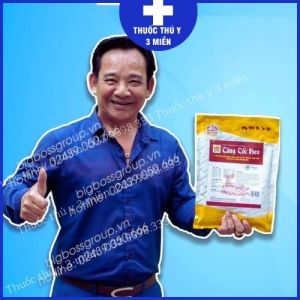 (CHÍNH HÃNG) Tăng Tốc Heo Siêu Vỗ Béo Heo Kích Thích Thèm Ăn Tăng Trọng Nhanh Phòng Tiêu Chảy Hàng Công Ty BIGBOSS