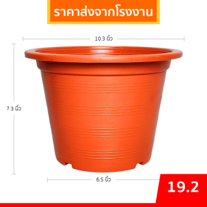 กระถาง กระถางต้นไม้ ทรงกลม เบอร์ 10 11 นิ้ว สีขาว Bundle 25 ใบ ชิ้น อัน