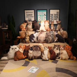 JOJO CASTLE 50cm Real Life Vivid Cat Plush Pillow Simulated Cat Cushion Stuffed Animal Plush Toy Bedroom Sofa Decor Throw Pillow Kids Gift 仿真抱枕
