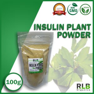 100 grams 100% Pure Natural Insulin Plant Powder - For Blood Sugar Support