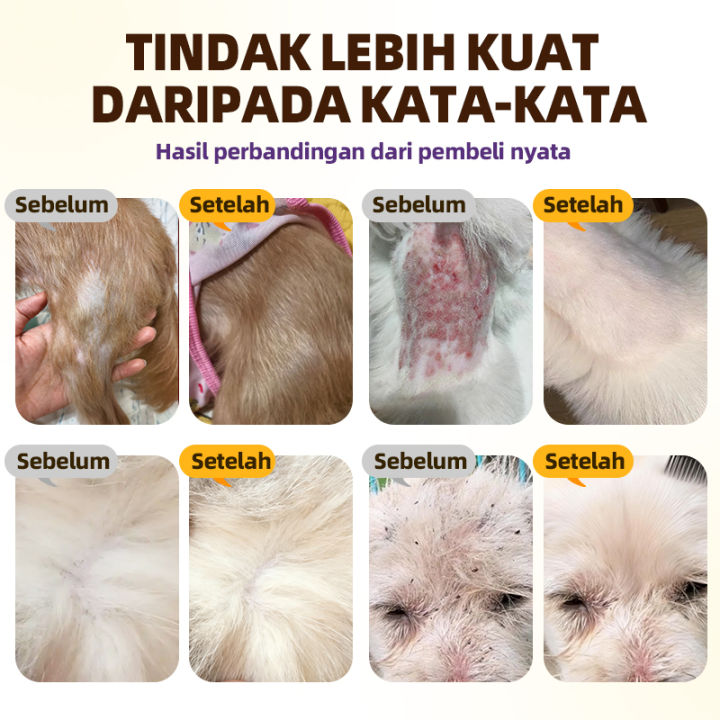Cassiel%20Pet%20Obat%20Kutu%20Anjing/Kucing%20-%20Cair%20&%20Tablet%20Basmi%20Kutu,%20Cacing,%20infeksi%20Kulit%20BPOM%20-%20Image%207