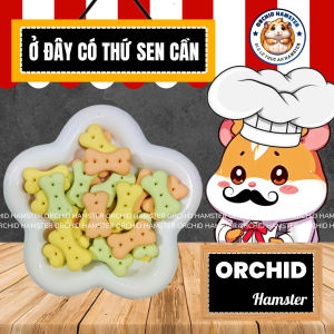 Bánh Xương Bánh Bi Sữa Rau Củ Cho Hamster/Sóc/Thỏ/Nhím Và Thú Nhỏ
