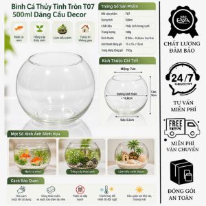 Hồ Cá Thuỷ Tinh Tròn Bầu 14 x 12 Cm T01 Tặng Kèm Sỏi Và Rong Trang Trí
