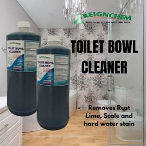 Reign Toilet Bowl Cleaner