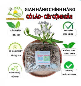 100g cây cỏ lào cỏ cộng sản sấy khô