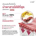 [3 กระปุก แถมโปสการ์ด 1 ใบ] Dr.PONG Special Set Astaxanthin แอสตาแซนธิน 3 กระปุก ลดเลือนริ้วรอย ผิวกระชับ. 
