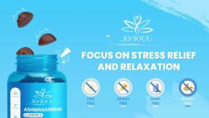 (60 Count) Ashwagandha Gummies KSM-66 - Mixed Berry Vegan Plant Based Non-GMO Gluten-Free & Gelatin Free Relax Organic Ashwa Root Extract Supplement for Immune Support