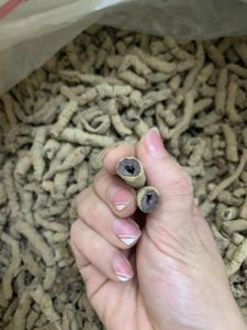 Ba kích tím khô (200g) ba kích quảng ninh hàng loại 1 tím lịm đã rút lõi phơi khô về chỉ việc ngâm 1 người khỏe 2 người vui