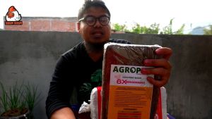 Media Tanam Coco Peat 6x Mengembang Cocok untuk Pembenihan dan Cangkok