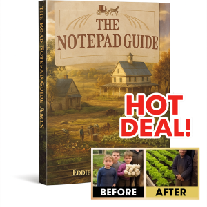 The Amish Survival Guide