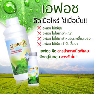 เอฟอช Aforch สารจับใบ ปูดำ 100 ซีซี 1 ขวด สารจับใบ ชนิดเร่งดูซึมไว 100% ของแท้
