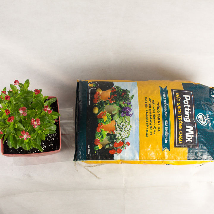 Bao%2020Dm3%20(~10Kg)%20-%20%C4%90%E1%BA%A5t%20S%E1%BA%A1ch%20H%E1%BB%AFu%20C%C6%A1%20Cao%20C%C3%A2%CC%81p%20Namix%20(Potting%20Mix)%20Gi%C3%A0u%20Dinh%20D%C6%B0%E1%BB%A1ng%20Chuy%C3%AAn%20D%C3%B9ng%20Cho%20Tr%C3%B4%CC%80ng%20Rau%20Tr%C3%B4%CC%80ng%20v%C3%A0%20Hoa%20Ki%E1%BB%83ng%20Trong%20Ch%E1%BA%ADu,%20Khay%20Divi%20Store%20-%20Image%208