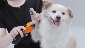 AU Dog grooming clippers largedog clippers three-speed professional electric clippers electric clippers for cats and teddy dogs led