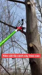 Kéo Cắt Cành trên cao cán dài dây giật tích hợp lưỡi cưa siêu bén