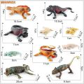 Reptile Statue Model Simulated Cute Lizard Chameleon Bearded Dragon Solid Model Decoration PVC Reptile Amphibian Figurine Ornament Educational Toy. 
