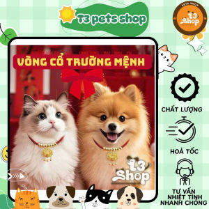 vòng cổ khóa trường mệnh đem lại may mắn cho chó mèo - T3 PETS SHOP