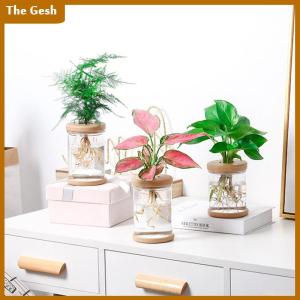 [The Gesh] Transparent Flower Pot Hydroponic Automatic Water Absorption Plastic Flower Pot