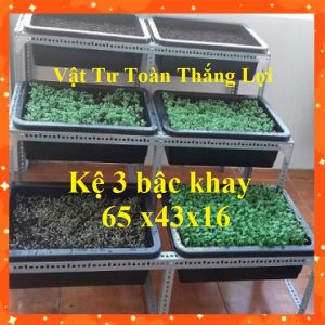 Kệ sắt V lỗ trồng rau bậc thang 3 tầng mỗi tầng 2 khay ( thích hợp chậu dài 65cm 67cm 68cm x rộng 4243ccm x cao 16cm)