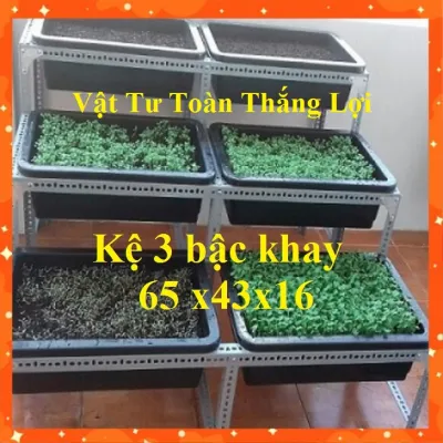 Kệ sắt V lỗ trồng rau bậc thang 3 tầng mỗi tầng 2 khay ( thích hợp chậu dài 65cm 67cm 68cm x rộng 4243ccm x cao 16cm)