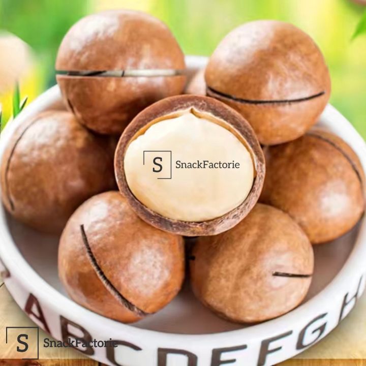云南 夏威夷果 原味 浓郁奶油味 (500g)Yunnan Macadamia Nut Original Flavour Creamy ...