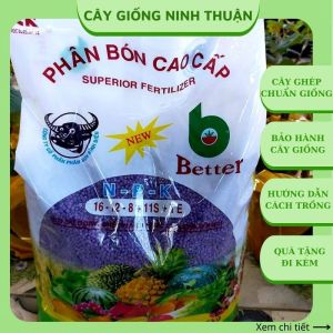 Phân bón NPK đầu trâu tím 16-12-8+11s+TE cao cấp bịch 5kg PB15
