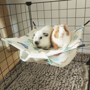 SDFSF Summer Cooling Pet Hammock Breathable Comfortable Squirrel Sleeping Bag Practical Waterproof Hammock Swing Toys For Small Animal Chinchillas
