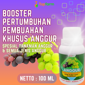 Pupuk Buah Super Lebat / Pupuk Organik Cair Khusus Anggur / Pupuk Khusus Pohon Anggur / Pupuk Khusus Tanaman Anggur / Pupuk Khusus Anggur / Pupuk Khusus Buah Anggur