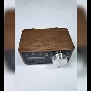 Mini TPA3116 Power Amplifier Bluetooth 5.0 Receiver Stereo Home Car Audio Amp USB U-disk 100w Music