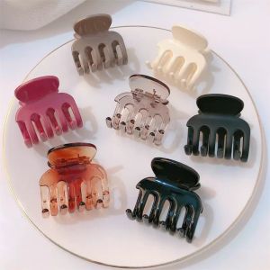 ED - 4CM - JEPITAN RAMBUT SALON GLOSSY MODEL GURITA CAKAR FASHION KOREA / JEDAI KOTAK GLOSSY PREMIUM