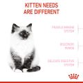 Royal Canin Kitten (10kg) Dry Cat Food - Feline Health Nutrition. 